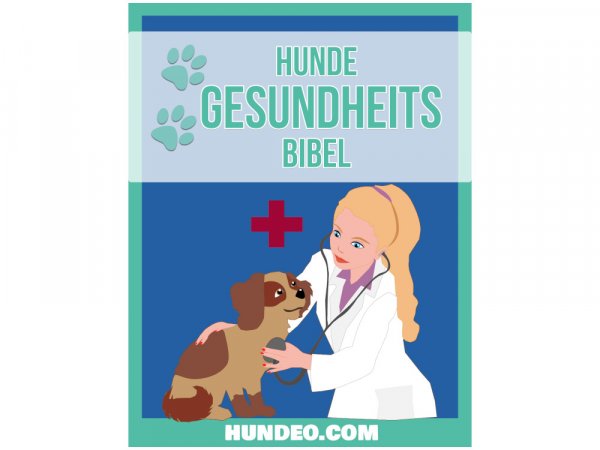 Hundeo Hunde Gesundheits Bibel